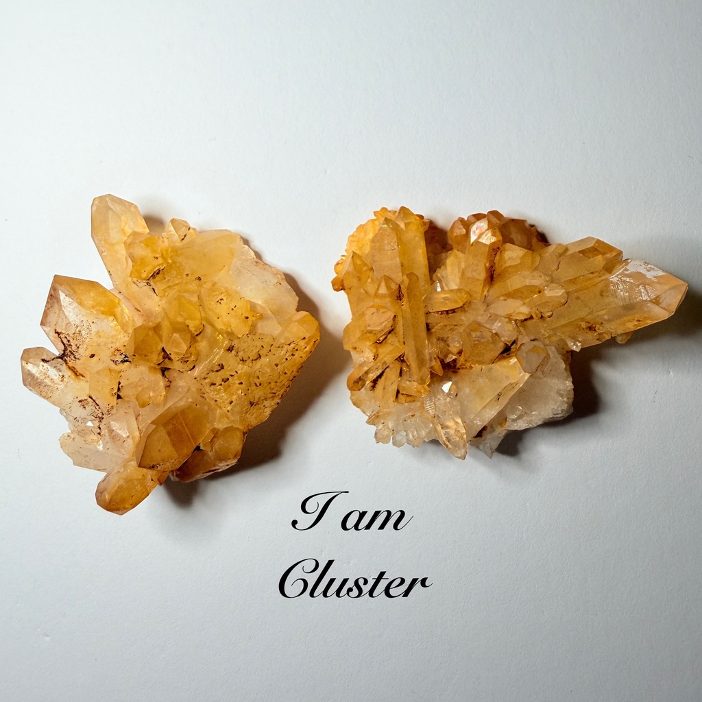 golden healer：arkansas🇺🇸