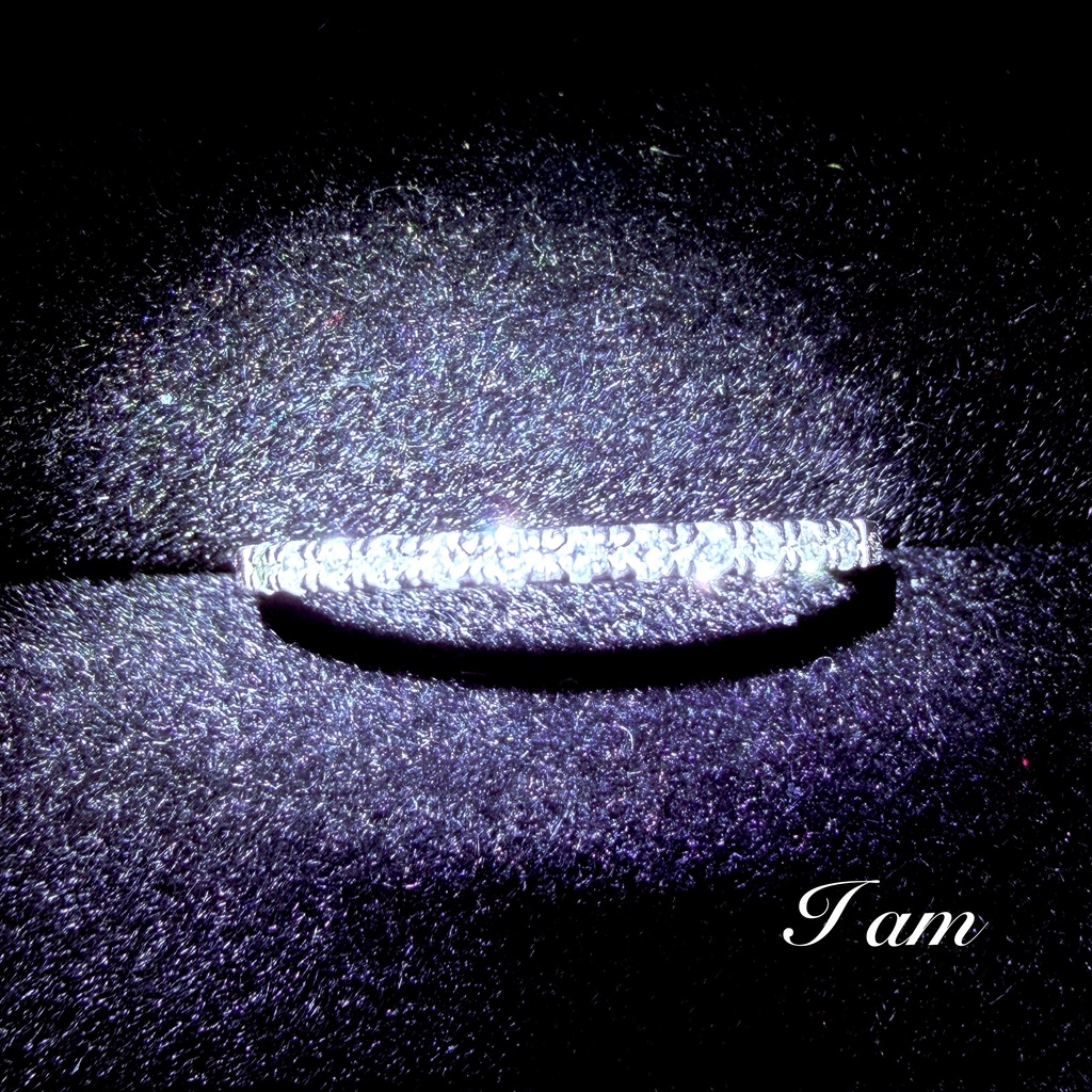 リクエスト✳︎PTハーフエタニティダイアモンドリング　13号