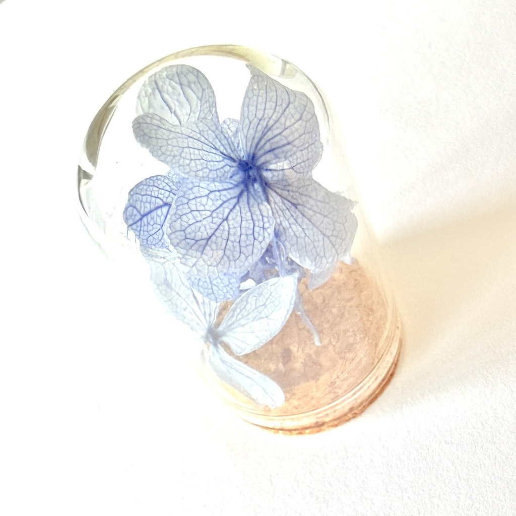 6月6日18時〜登場「紫陽花の花守りー2026Ver」