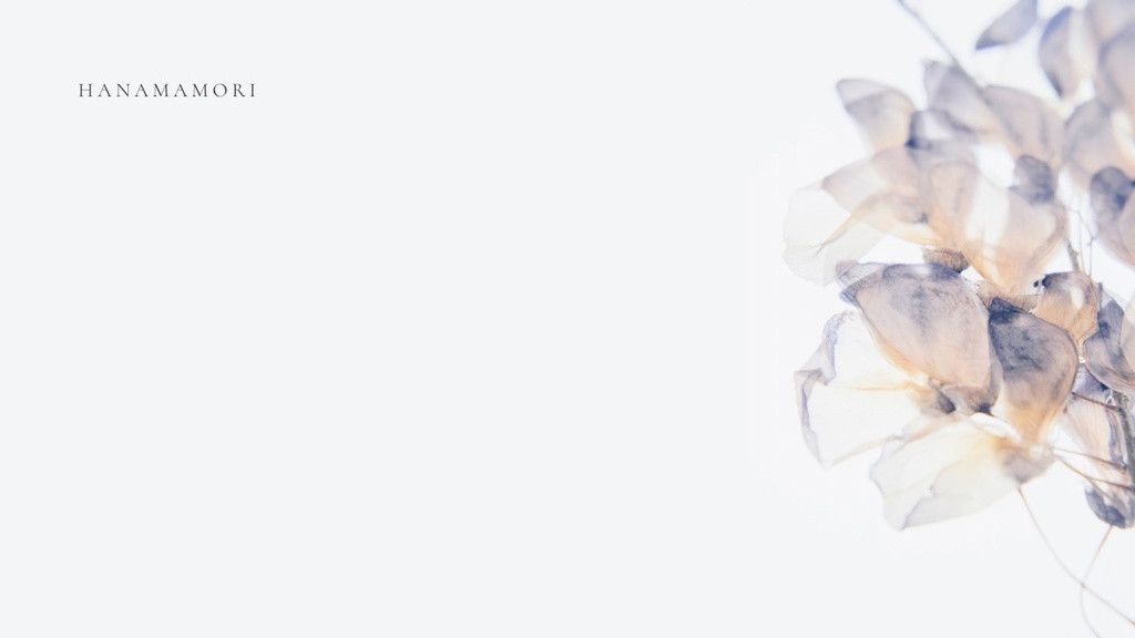 入荷リクエスト受付中「紫陽花の花守りー2026Ver」