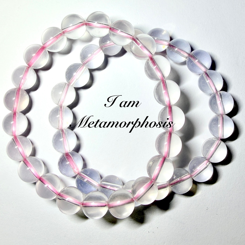 pink Metamorphosis🦋