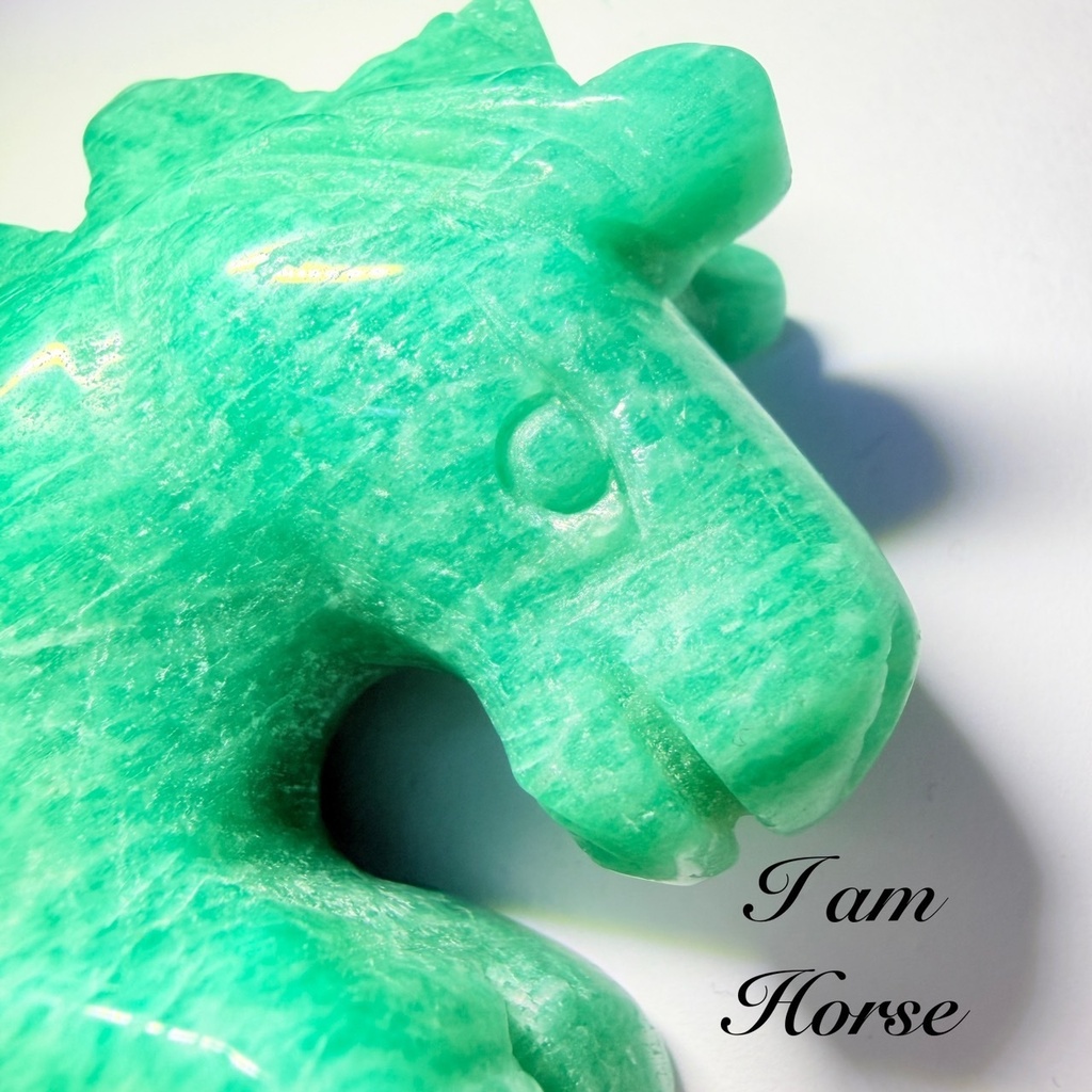 すべてうまくいく🐴amazonite