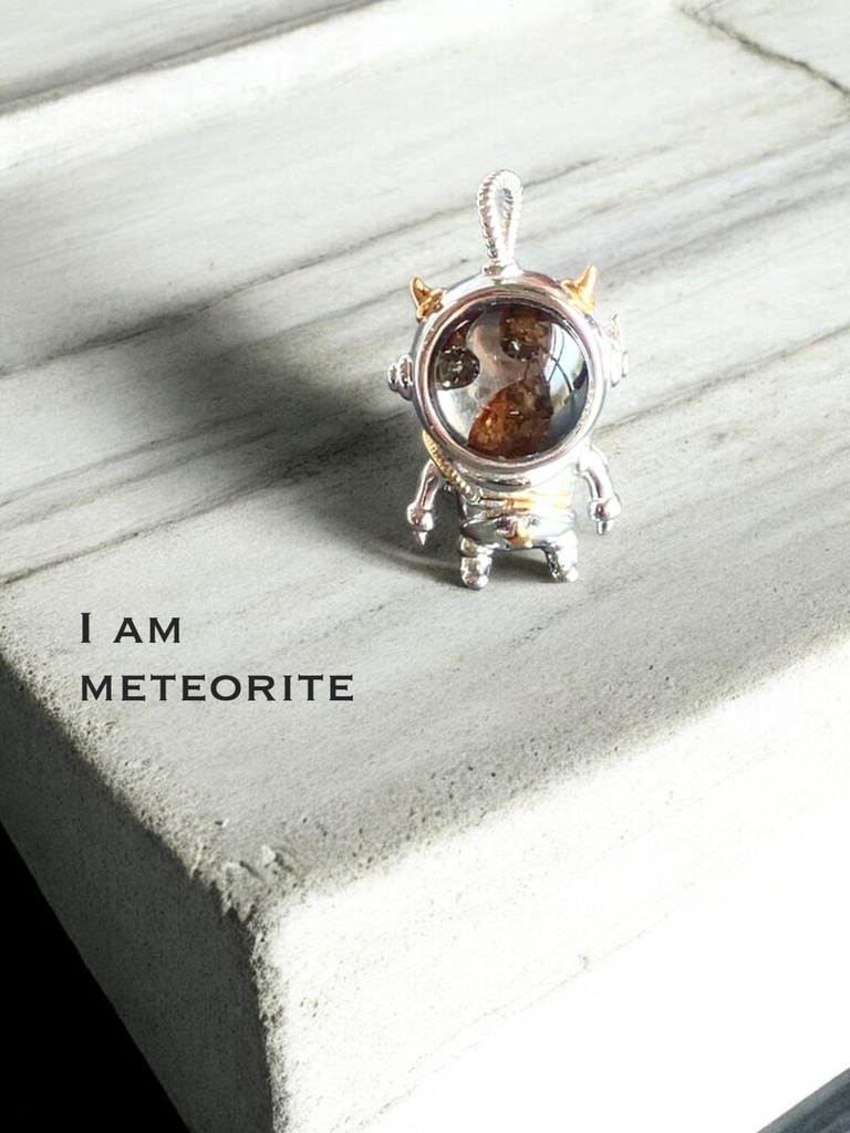 Pallasite meteorite👩‍🚀🪐
