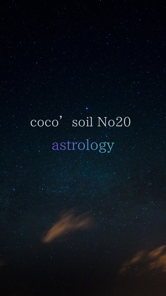 夏の夜空:dropper type:【zodiac sign】coco‘soil astrology ✳︎ミニスプレー付き