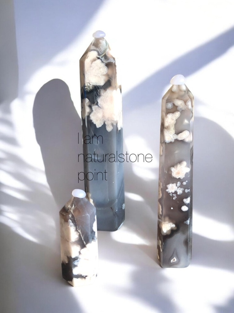 Blue Cherry blossomagate:青桜瑪瑙：point