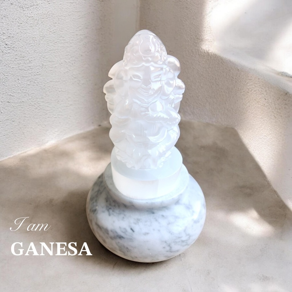 ganesha：selenite