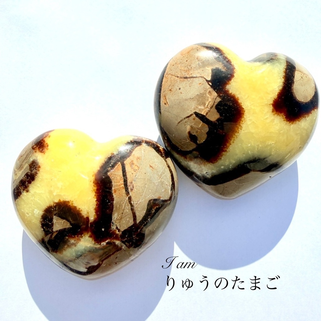 龍のたまご：Septarian