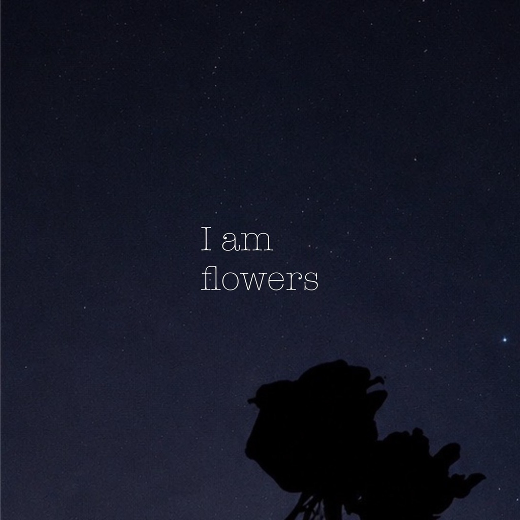 flowers:過去から未来へ
