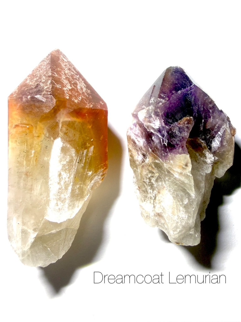 希少✳︎Dreamcoat Lemurian