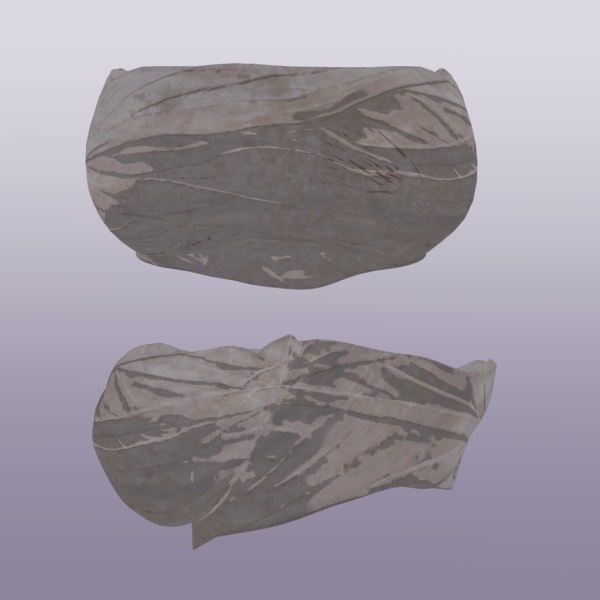 【呉ノ葉用衣装】さらし