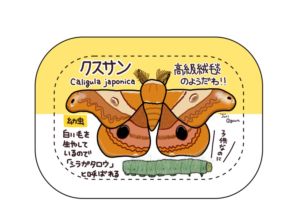 図鑑バッジ クスサン おがわ商店 Booth