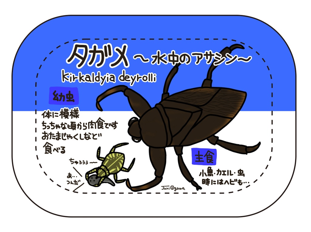 図鑑バッジ タガメ おがわ商店 Booth