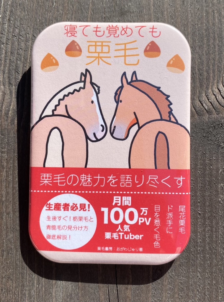 本の表紙みたいなシリーズ スクエア型缶バッジ 全5種