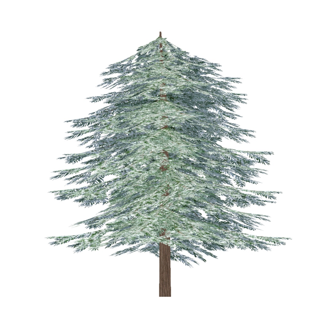 モミの木3種(unitypackage)