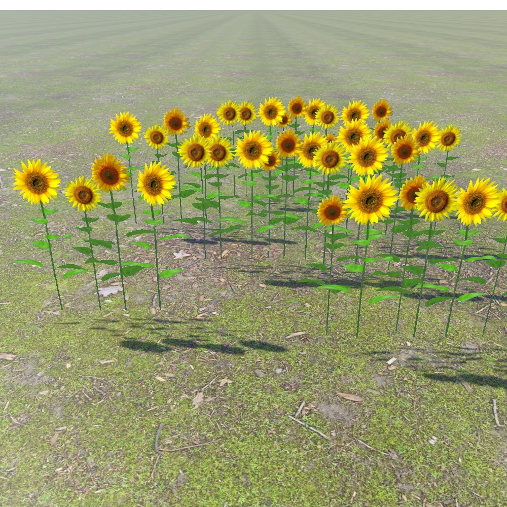 ひまわり畑セット(unitypackage)