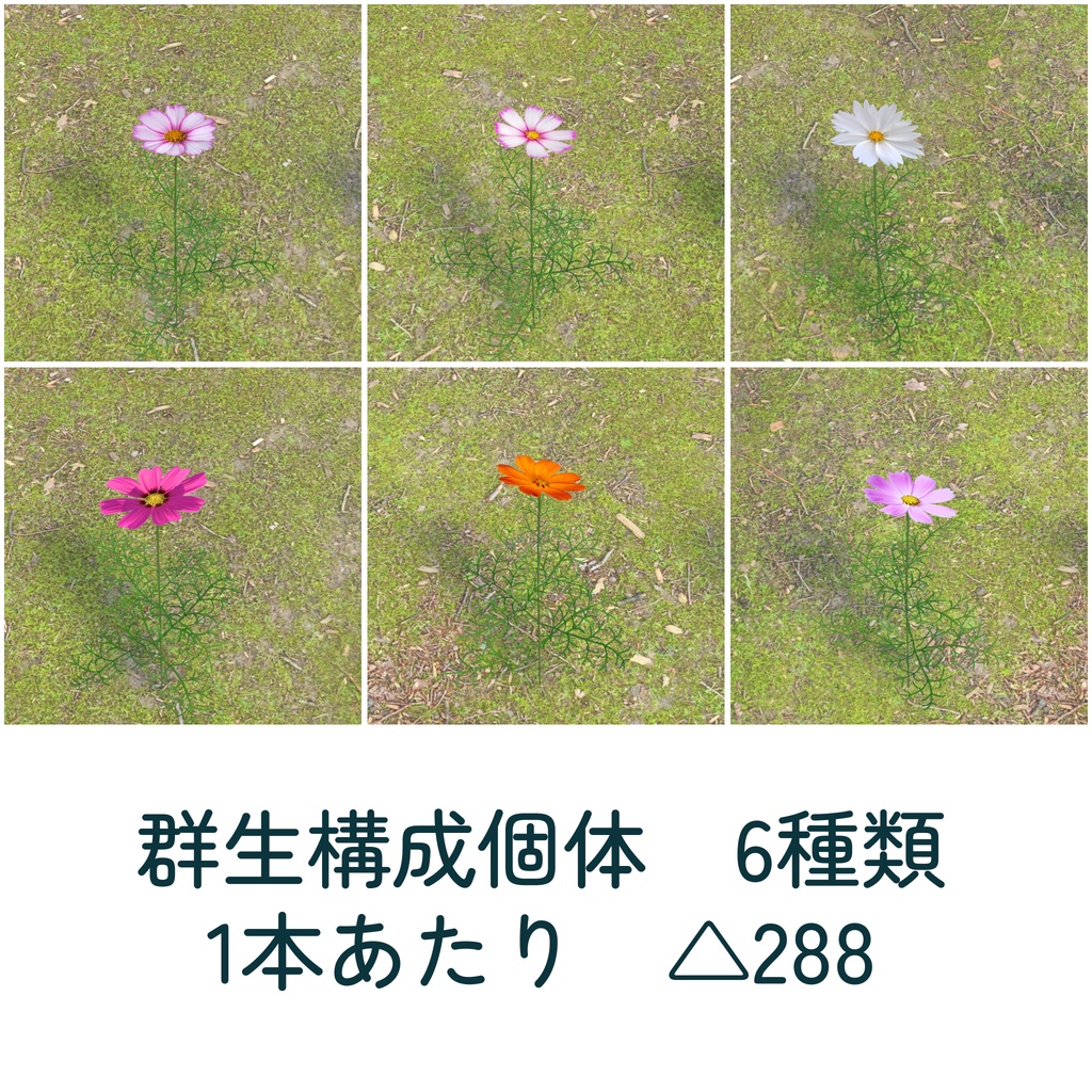 コスモスの生け花6種&群生セット(unitypackage)