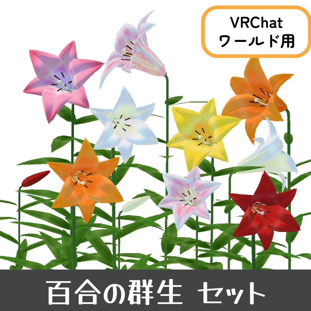 百合の群生&生け花セット
