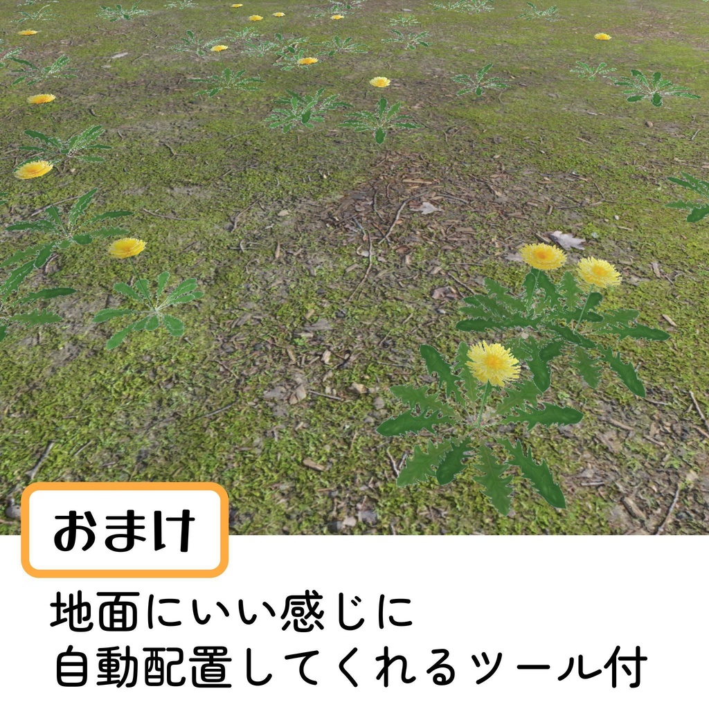 たんぽぽセット