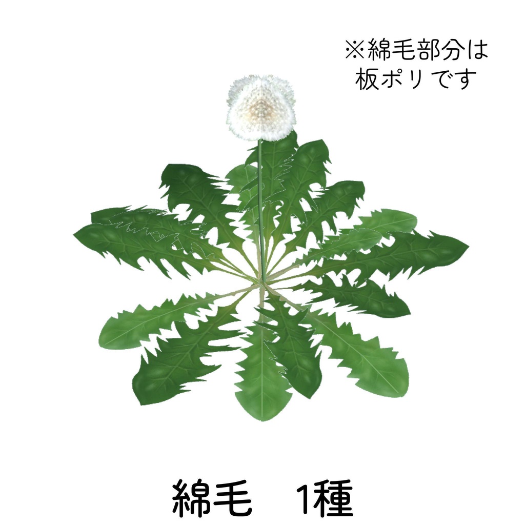 たんぽぽセット