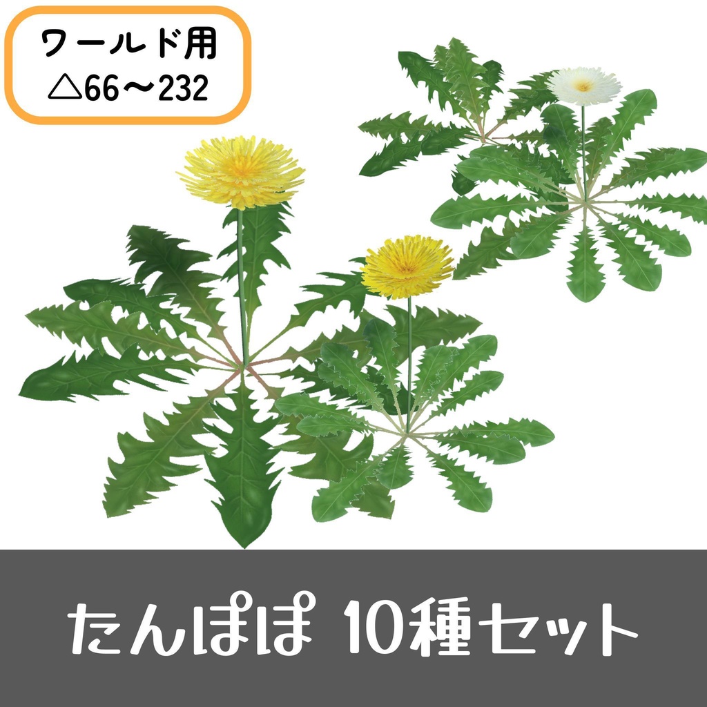 たんぽぽセット