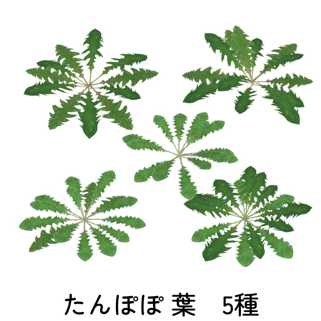 たんぽぽセット