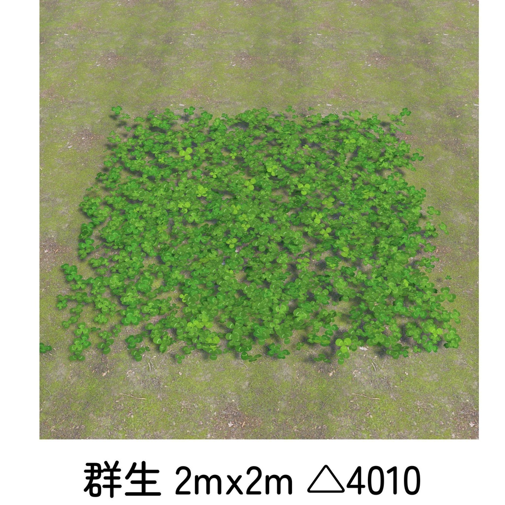 クローバー畑セット(四つ葉&五つ葉付き)