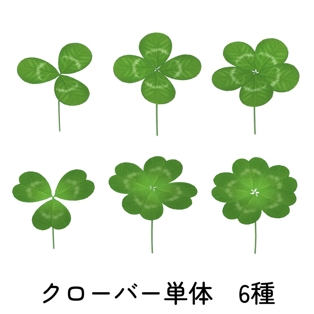 クローバー畑セット(四つ葉&五つ葉付き)