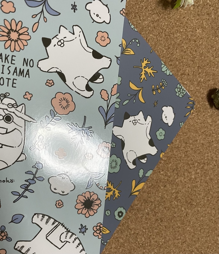 リングノート単品