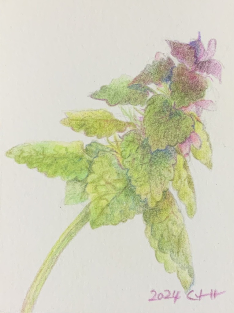 ミニ額原画(長方形)