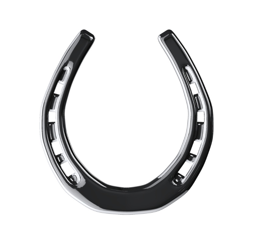 horse shoe ブレスレット/蹄鉄