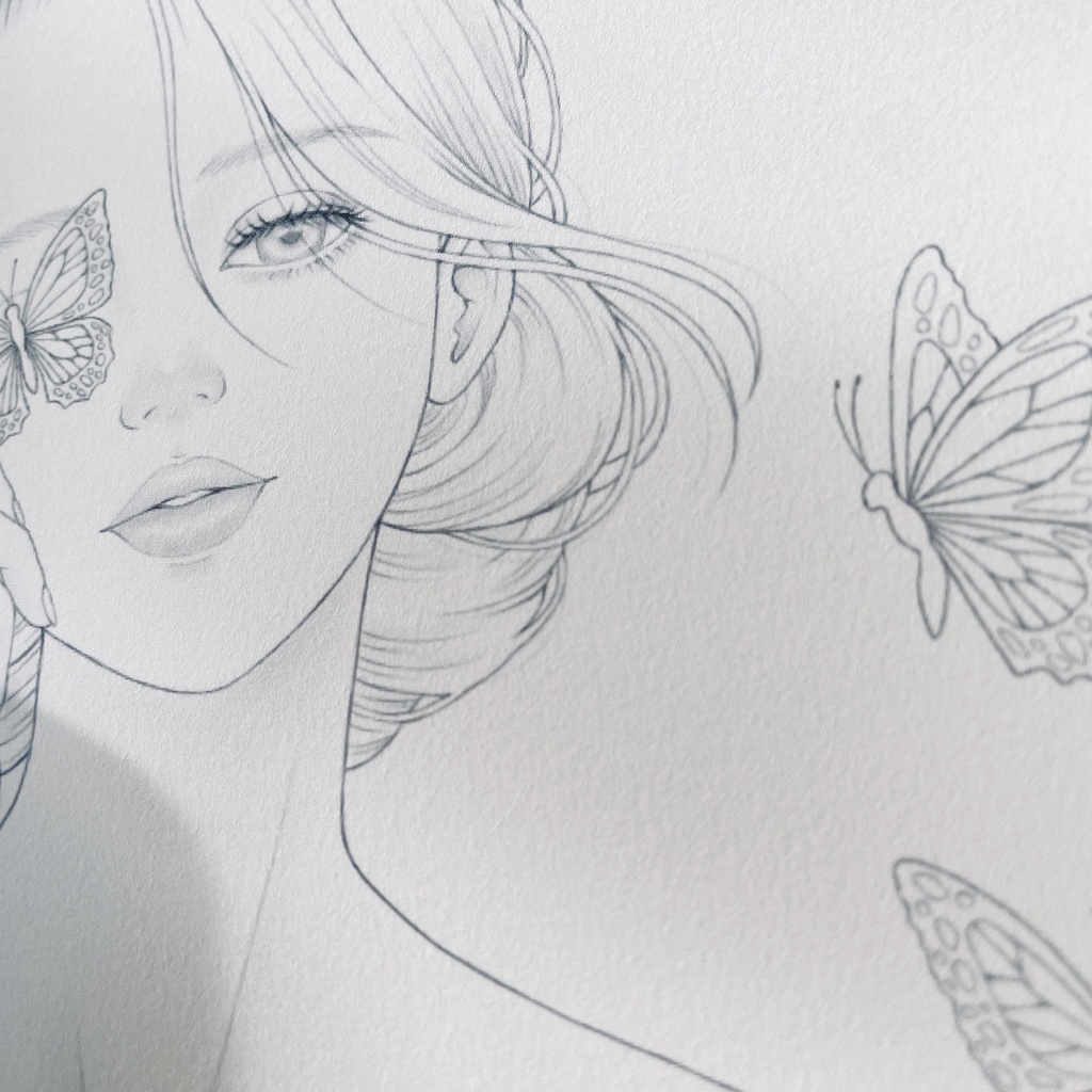 塗り絵用線画/蝶