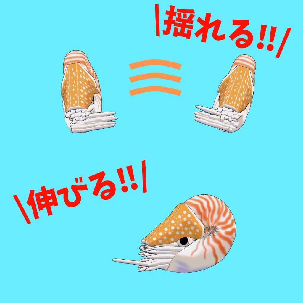【オリジナル3Dアバター】オウムガイ