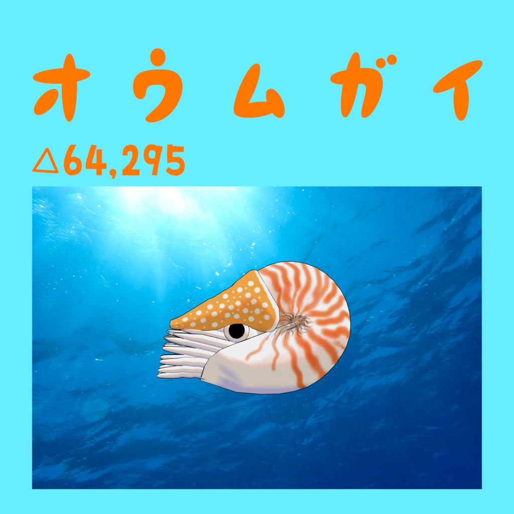 【オリジナル3Dアバター】オウムガイ
