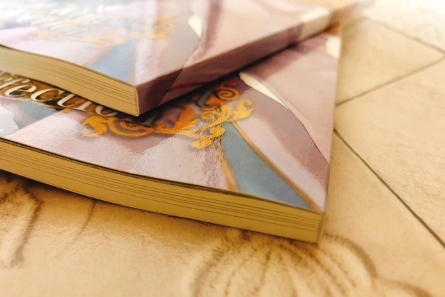 mid-Knight affection