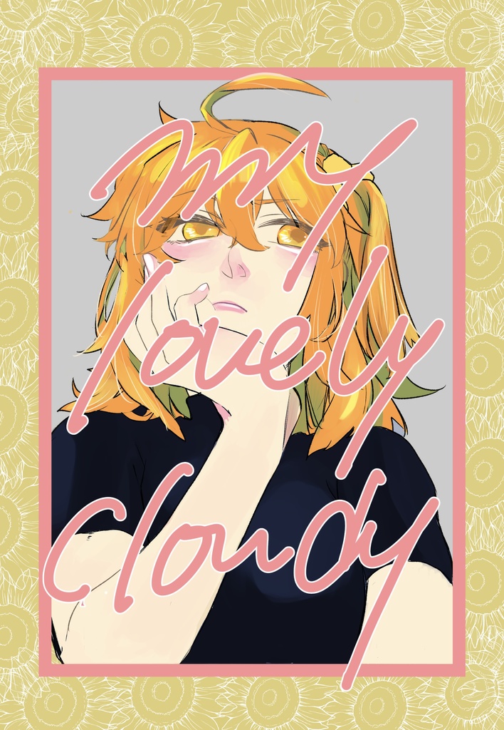 my lovely cloudy