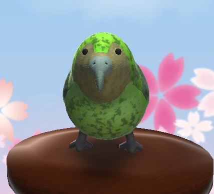 【3D小物】カカポのぬいぐるみ