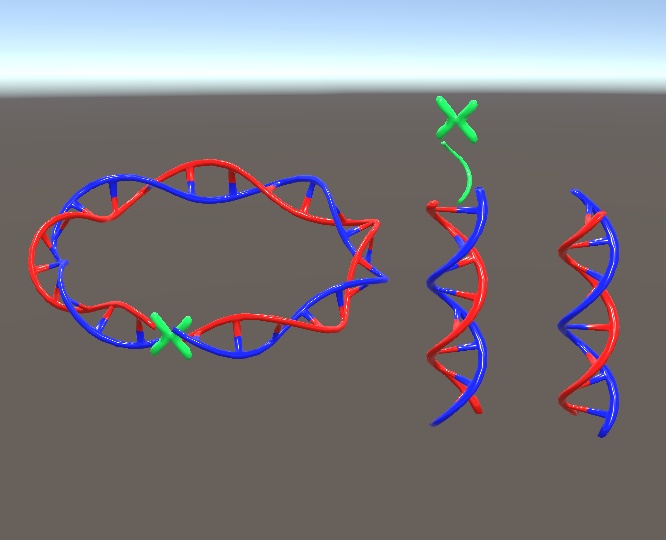 【3D小物】DNAアクセサリー