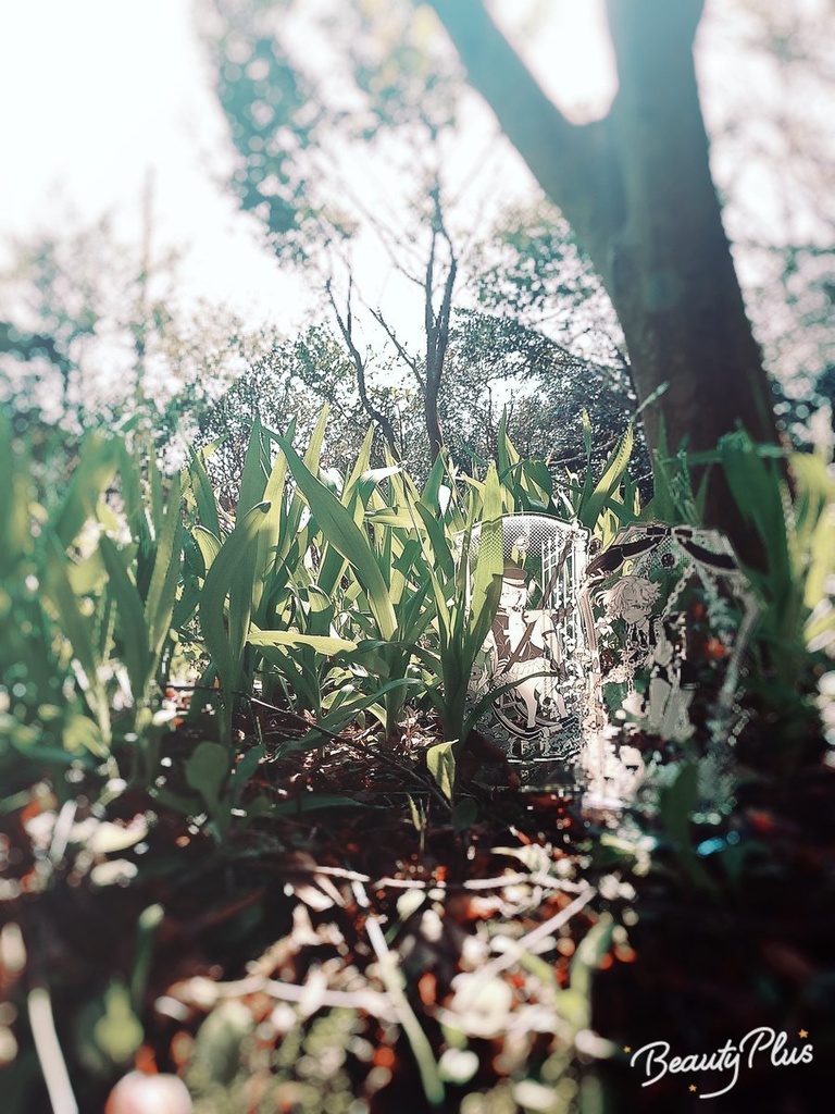 アクリルスタンド【五虎退】