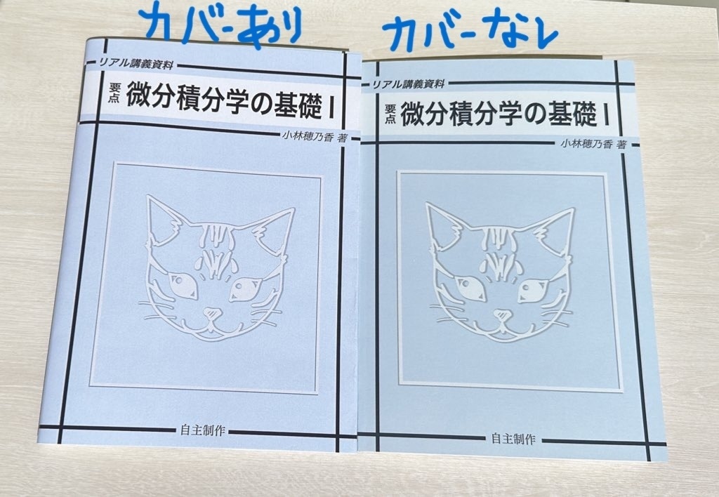 【商業出版予定】理学博士のリアル講義資料 要点 微分積分学の基礎Ⅰ