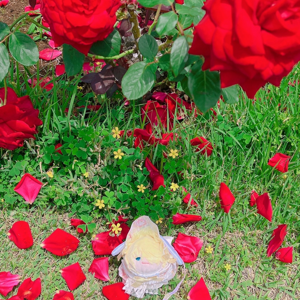 もちぬいのおさんぽハーネス