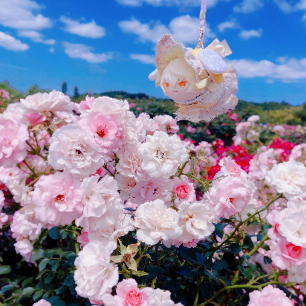 もちぬいのおさんぽハーネス