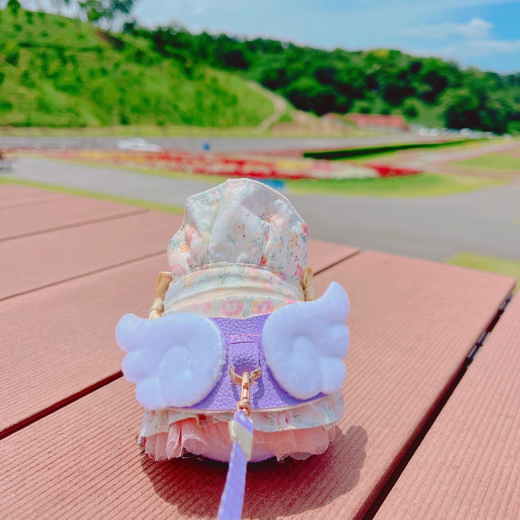 もちぬいのおさんぽハーネス