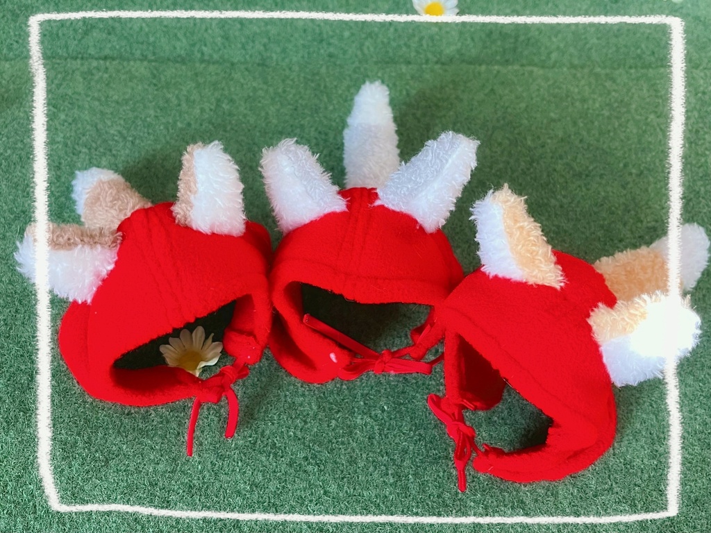 【おもち】キツネずきん