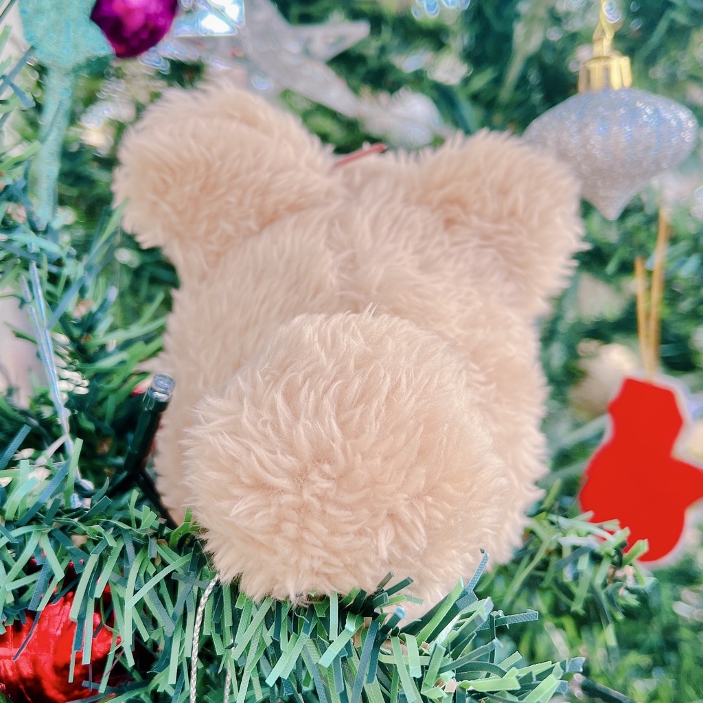 【おもち】チョコくま着ぐるみ