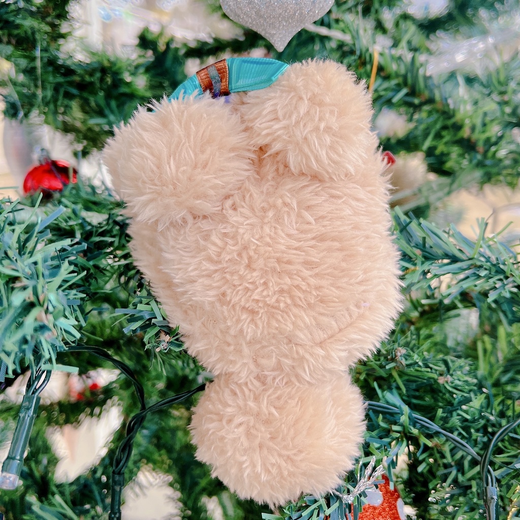 【おもち】チョコくま着ぐるみ