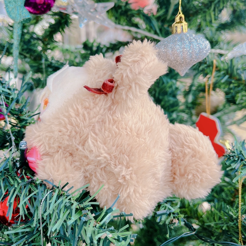 【おもち】チョコくま着ぐるみ