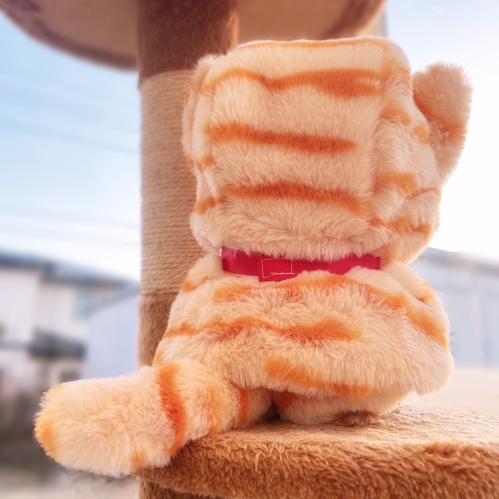 【ぬい】なりきりネコチャンSET