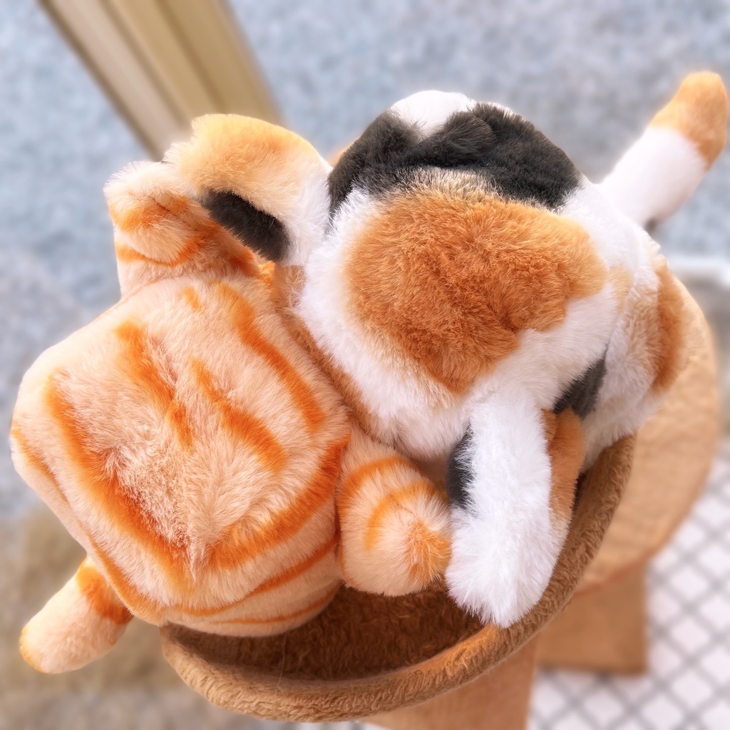 【ぬい】なりきりネコチャンSET