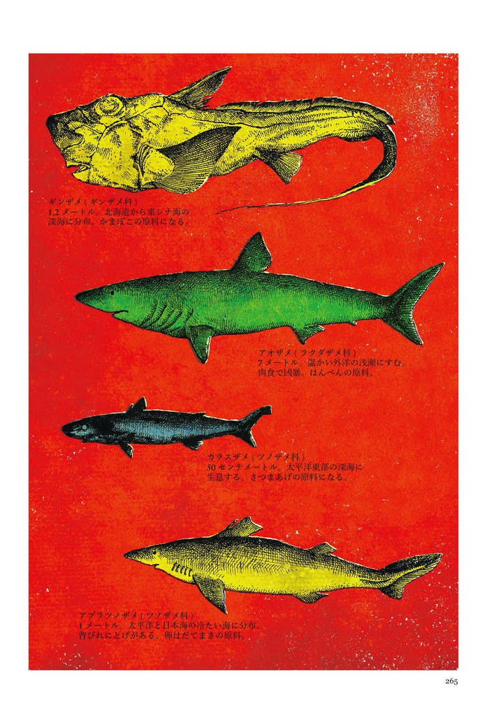 panpanya 足摺り水族館