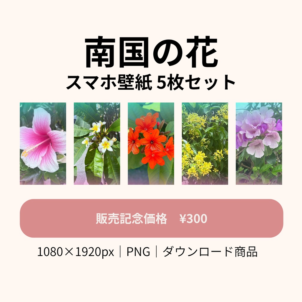 南国の花｜スマホ壁紙5枚セット